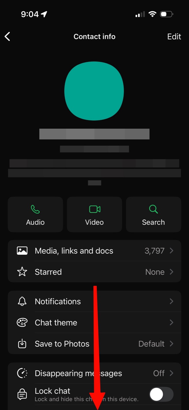Chat info screen scrolled down